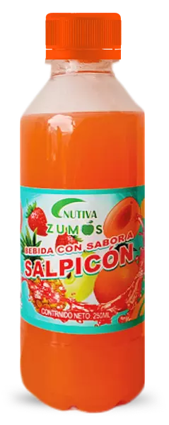 Jugos Nutiva Salpicon 250ml