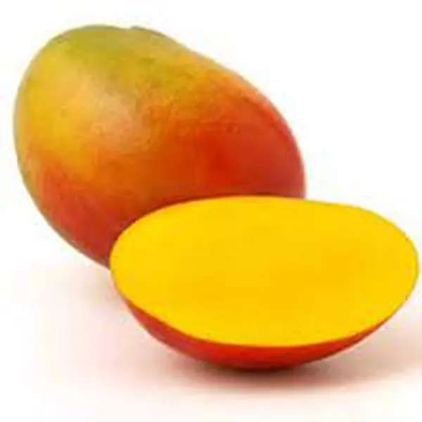 Mango Tomy