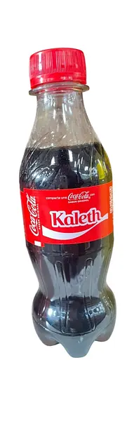 Gaseosa Coca Cola Minpet X250 Ml