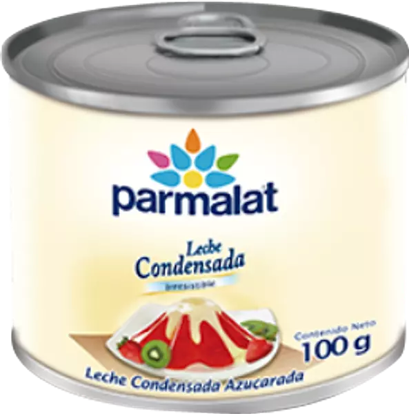 Leche Condensad Parmalat X100