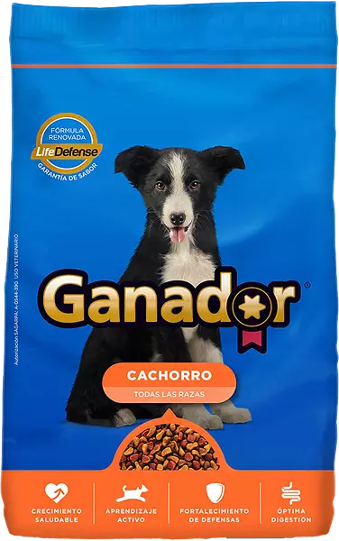 Ganador Cachorros 2kl