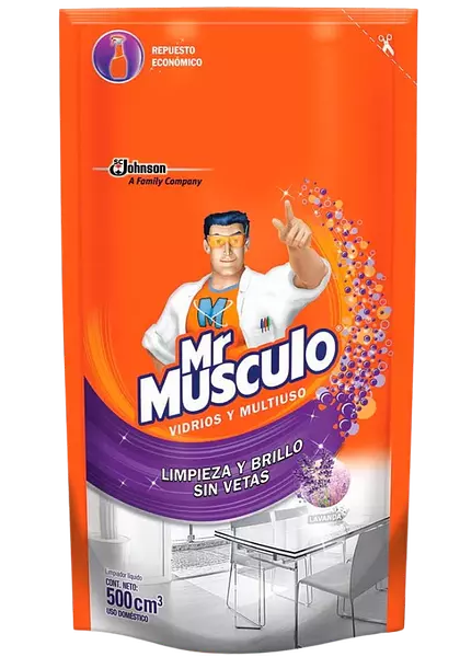 Mr Musculo Vidrios Multi Dp X500