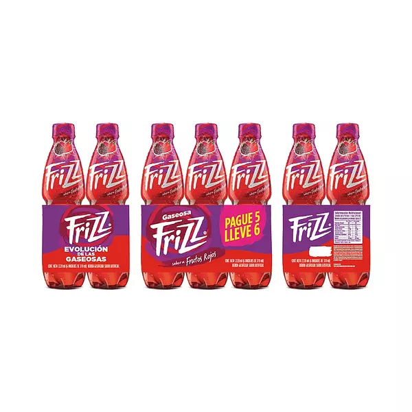 Kit 6pack 370ml Frizz x 2220 Ml