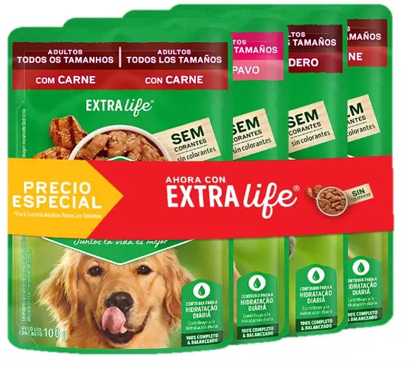 Dog Chow Adulto 4x100gr P.E