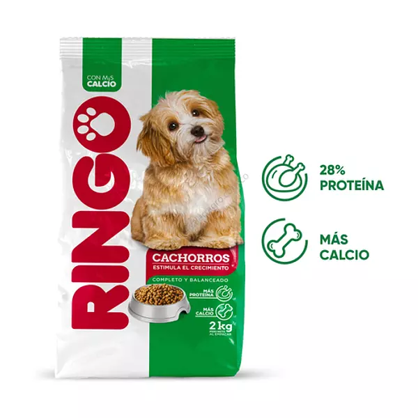 Ringo Cachorros 2k