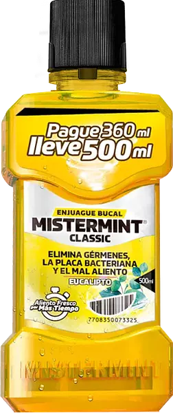 Enj Buca Mistermint Yerba Buena *500 Ml