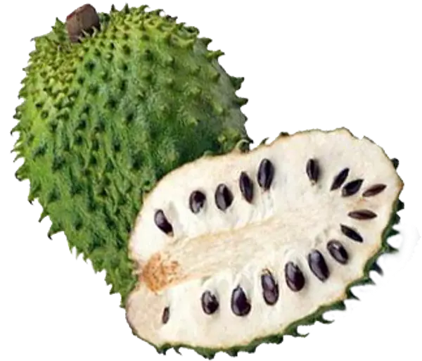 Guanabana