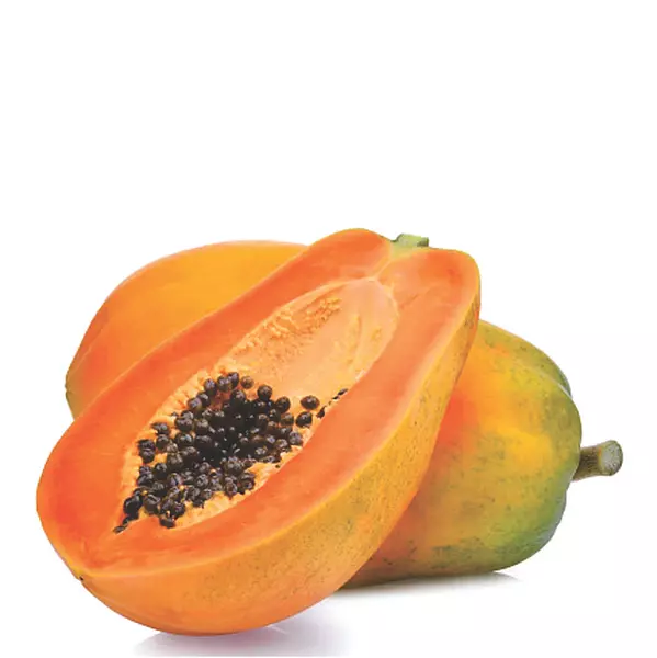 Papaya Criolla